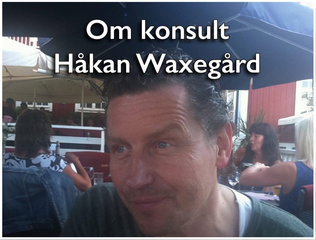Konsulten Håkan Waxegård